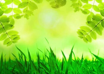 Xanh lá mang tới sự tươi mới và trẻ trung