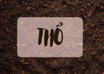 Thổ sinh kim là gì? Tương quan vận may, rủi của mệnh thổ