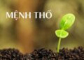 Mệnh Thổ khắc mệnh gì? Kiêng kỵ của người mệnh Thổ