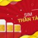 Sim thần tài là sim gì?