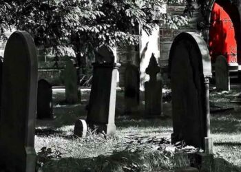 Sự thật vè thần Trùng, Trùng tang có thật không? Tham khảo bài viết sau