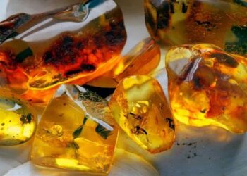 Đá hổ phách hợp mệnh gì