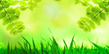 Xanh lá mang tới sự tươi mới và trẻ trung