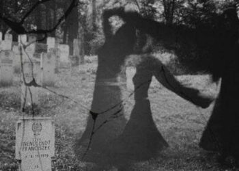 Trùng tang là gì được nhiều người tìm hiểu