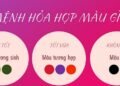 Mệnh hỏa hợp màu gì nhất và xung khắc với màu gì?
