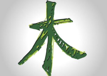 Mệnh mộc hợp màu gì? Tư vấn những màu sắc hợp mệnh