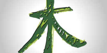 Mệnh mộc hợp màu gì? Tư vấn những màu sắc hợp mệnh