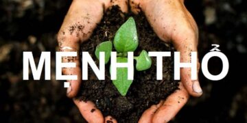 Mệnh Thổ hợp mệnh gì? Tương sinh và tương khắc mệnh Thổ