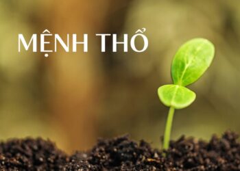 Mệnh Thổ khắc mệnh gì? Kiêng kỵ của người mệnh Thổ