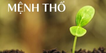 Mệnh Thổ khắc mệnh gì? Kiêng kỵ của người mệnh Thổ