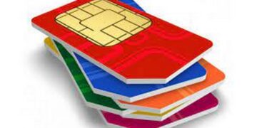 sim Đại Cát có tầm quan trọng như nào