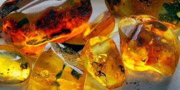 Đá hổ phách hợp mệnh gì